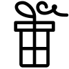 icons8-present-100