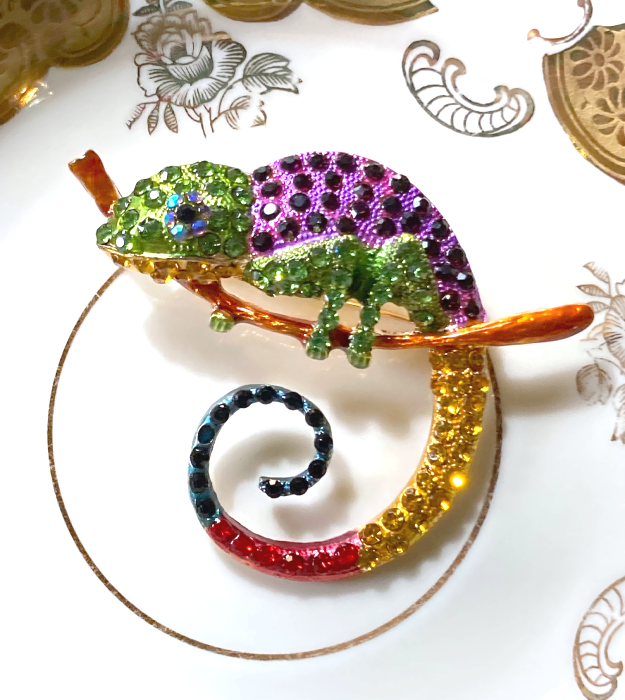 Kameleon Broche met gekleurde Steentjes